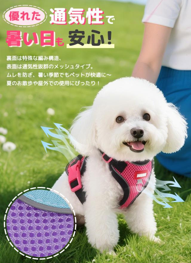 ペット用ハーネス＆リードセット