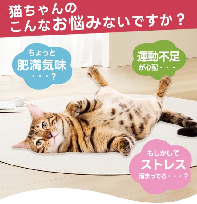 猫用おもちゃ
