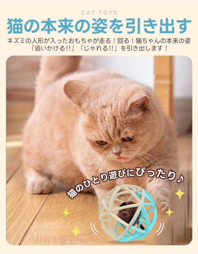 猫用おもちゃ