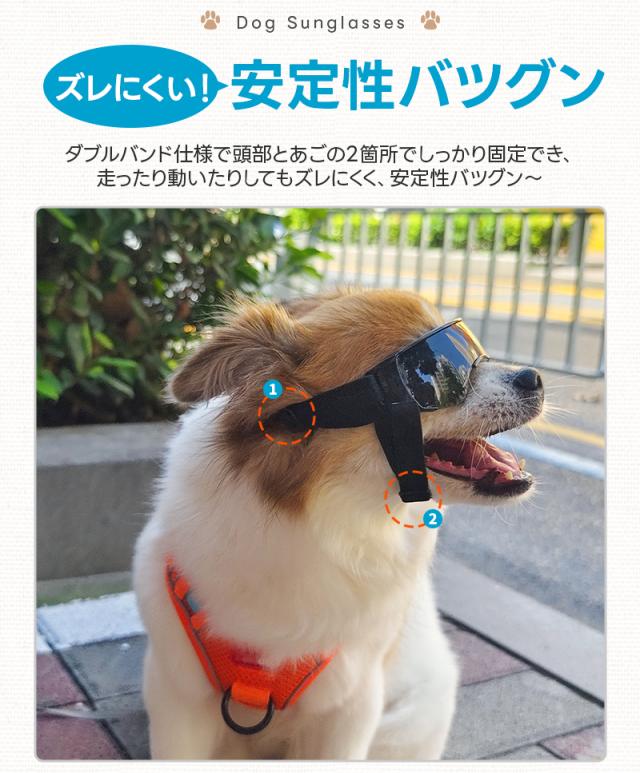 ペット用サングラス