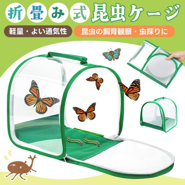 折り畳み虫かご 昆虫ケージ 昆虫飼育箱 虫かご 蝶ケージ 昆虫観察 蝶 爬虫類 折りたたみケージ 飼育ケース