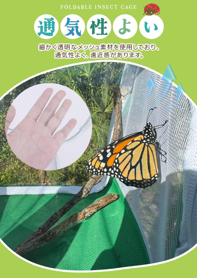 折り畳み虫かご