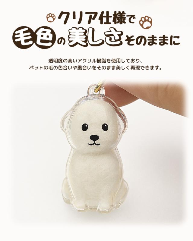 ペットの毛の入れ物