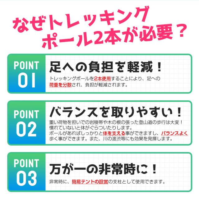 トレッキングポール