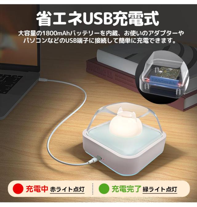 ナイトライト