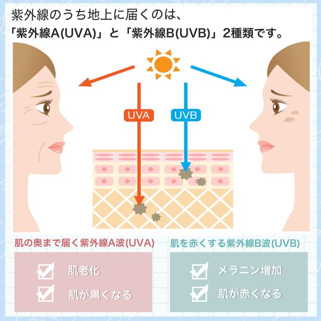 ワンタッチ 自動開閉 日傘 花柄 ホワイト
