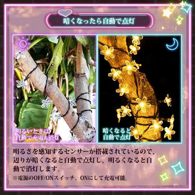 イルミネーション