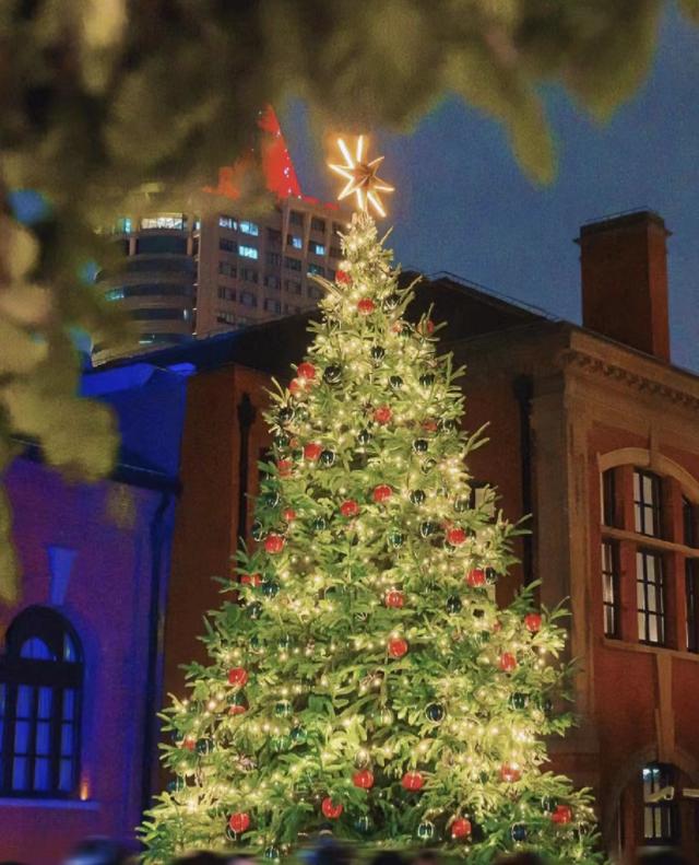 イルミネーション