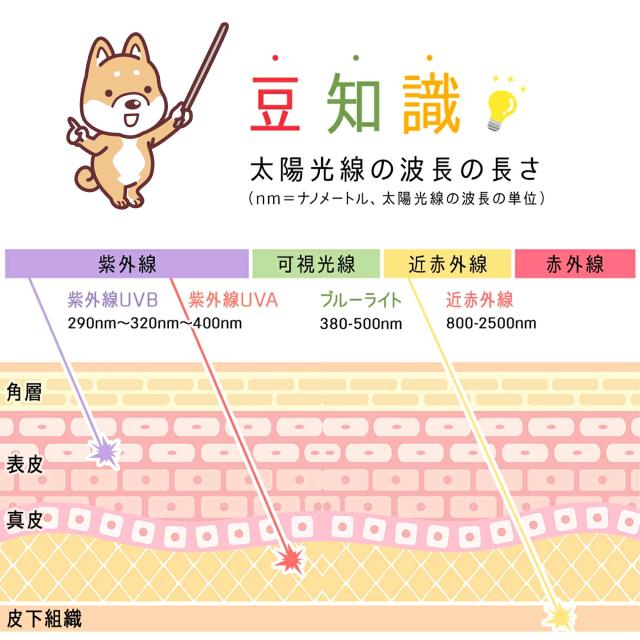 折りたたみ傘 軽量 晴雨兼用 女性用 折り畳み傘 雨傘 日傘 雨晴兼用傘 レディース折傘 UVカット 軽量折りたたみ傘 遮熱 紳士傘 遮光率 UV遮蔽率
