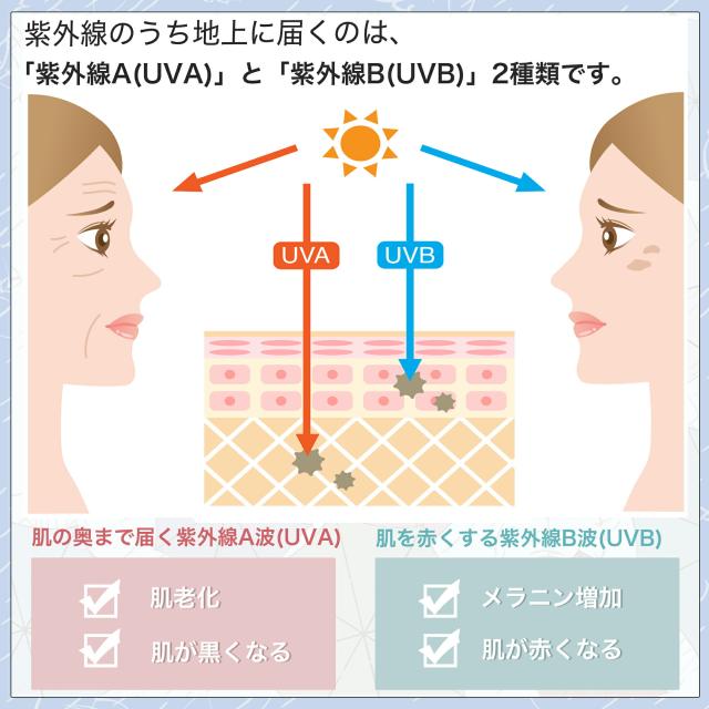 日傘 折りたたみ 完全遮光 JIS認証済 遮熱 傘 超軽量 折り畳み傘 6本骨 uvカット 紫外線対策 日焼け対策 メンズ レディース ワンプッシュ 軽量 おりたたみ傘 カラー:花柄×ブルー