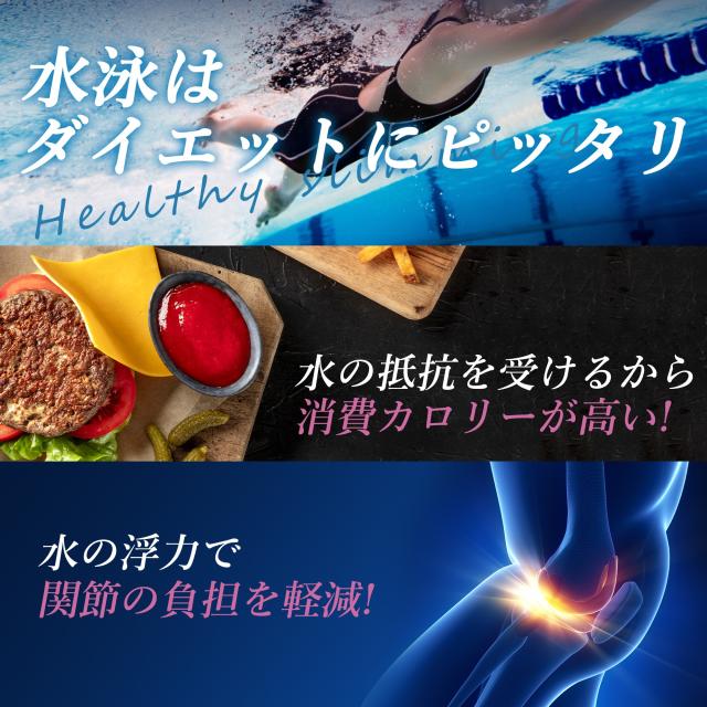 競泳水着 フィットネス水着 レディース