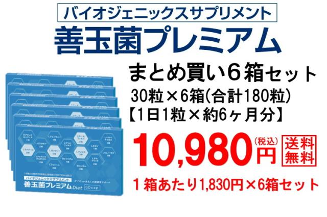 30粒×6個セット