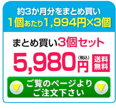 30粒×3個セット