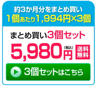 30粒×3個セット