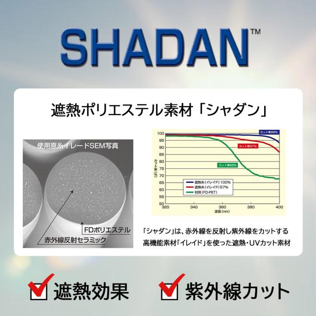 シャダン画像