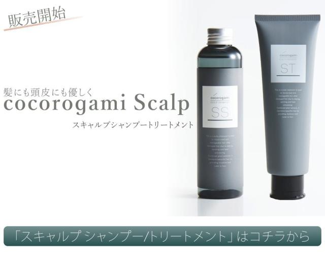 スキャルプシャンプートリートメント
