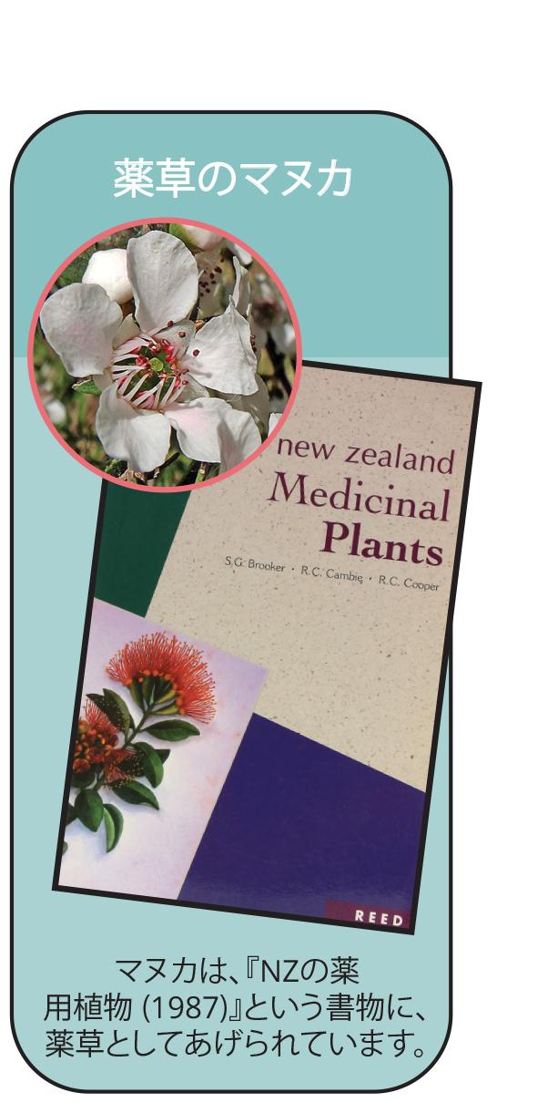 モソップ マヌカハニー (2.5kg) 低温濾過 自然粒状化製法 　家庭用にも業務用にも、ゆとりのサイズ　17時までのご注文で当日発送・年中無休　送料無料