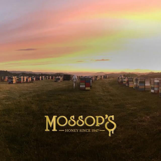 モソップ マヌカハニー (2.5kg) 低温濾過 自然粒状化製法 　家庭用にも業務用にも、ゆとりのサイズ　17時までのご注文で当日発送・年中無休　送料無料