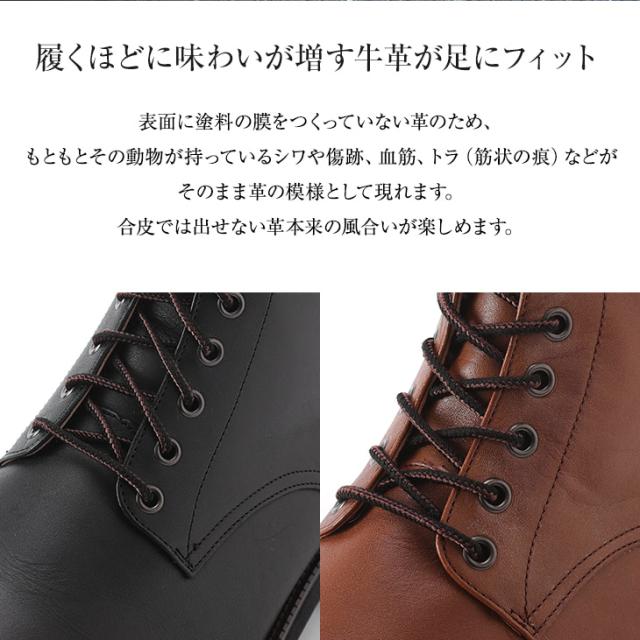 6cmアップ No.1573