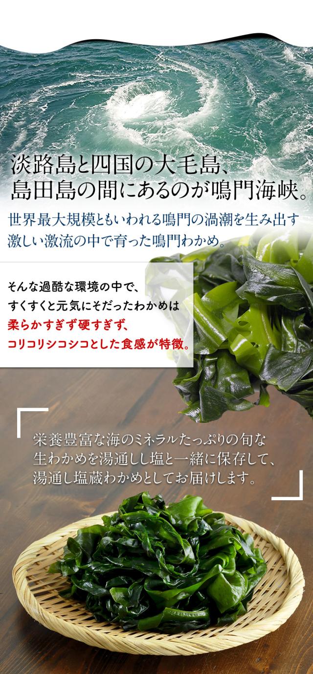 激しい激流の中で育った鳴門わかめ