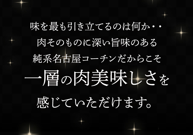 メンチアイコン2