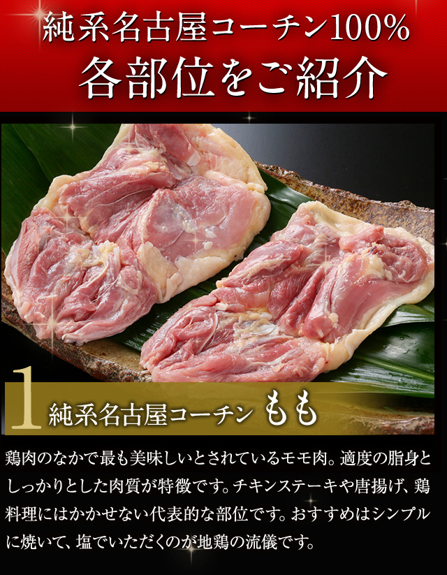 メンチアイコン8