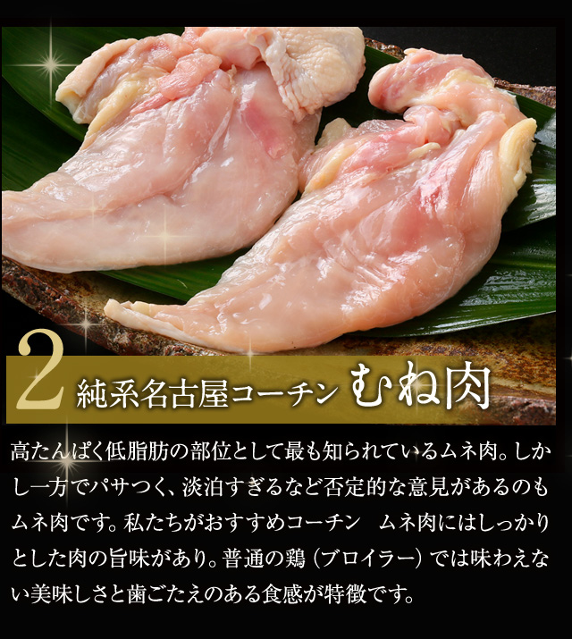 メンチアイコン9