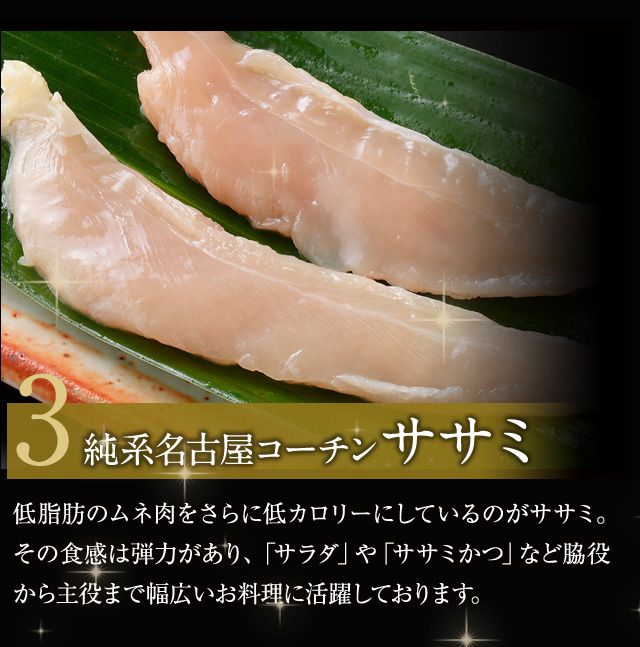 メンチアイコン10