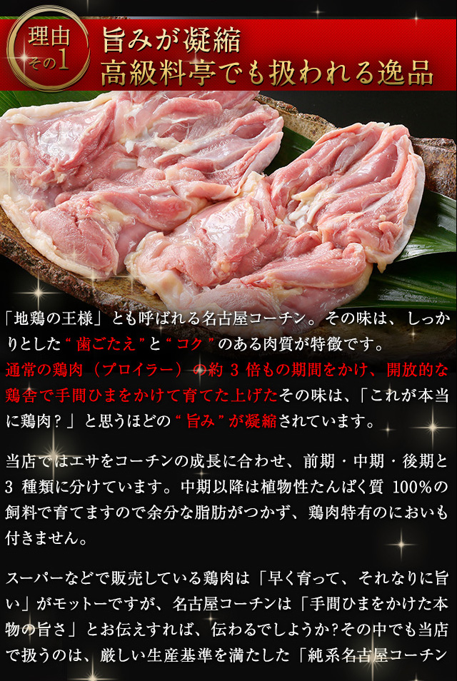 メンチアイコン13