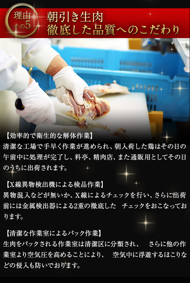 メンチアイコン17