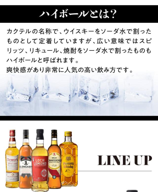 世界の洋酒セット