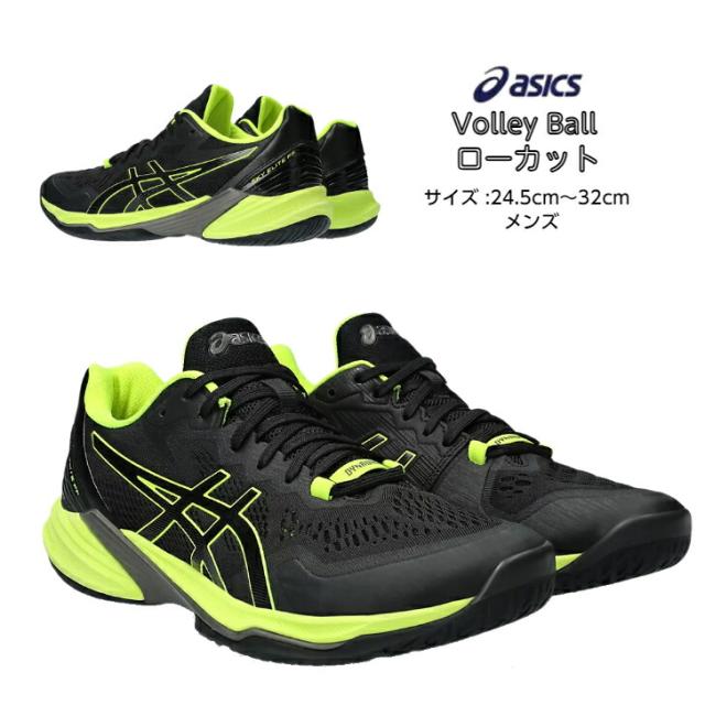 アシックス バレーボールシューズ SKY ELITE FF アシックス(asics) バレーボールシューズ スカイエリート SKY