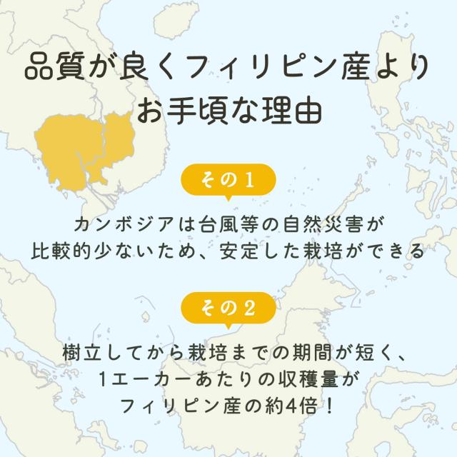 品質が良くフィリピン産よりお手頃な理由　＜その1＞カンボジアは台風等の自然災害が比較的少ないため、安定した栽培ができる　＜その2＞樹立してから栽培までの期間が短く、1エーカーあたりの収穫量がフィリピン産の約4倍！