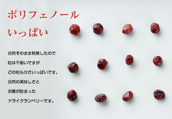 ドライクランベリー