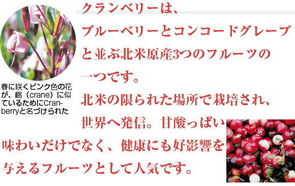 ドライクランベリー