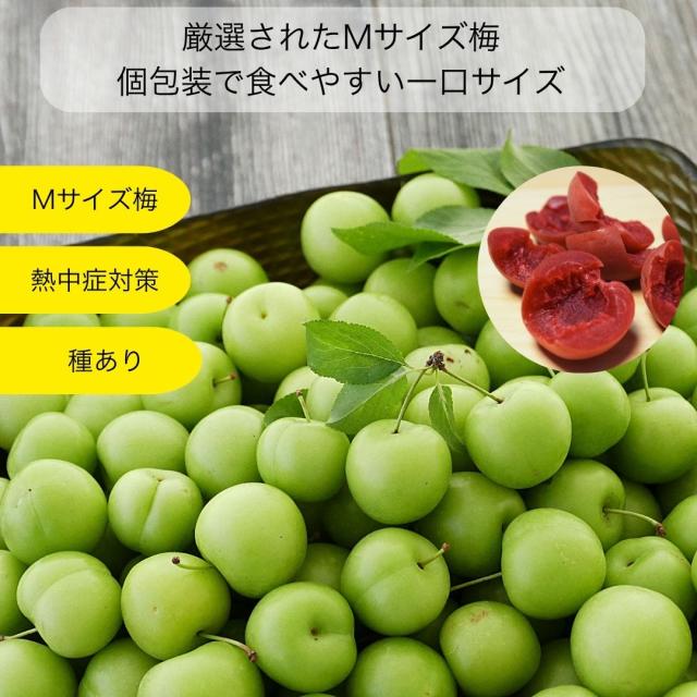 商品画像2