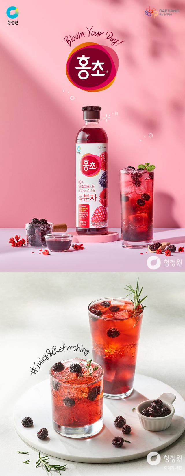 [大象] 紅酢 ホンチョ お選び6本セット / 900ml×6本 ザクロ 野イチゴ ライムレモン 健康酢 お酢ドリンク 飲む酢 100%果実発酵 果実のお酢 ビネガードリンク 健康酢