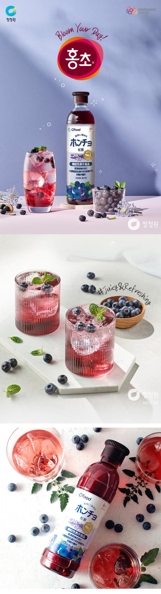 [大象] 紅酢 ホンチョ お選び6本セット / 900ml×6本 ザクロ 野イチゴ ライムレモン 健康酢 お酢ドリンク 飲む酢 100%果実発酵 果実のお酢 ビネガードリンク 健康酢