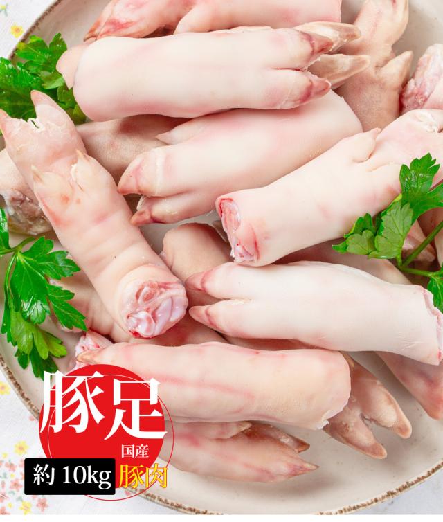 [豚肉] 国産豚足 とんそく / 1BOX( 約10kg 20-25本前後) 豚足 ジューシーな食感豚すね肉 豚肉 骨付き肉（冷凍）