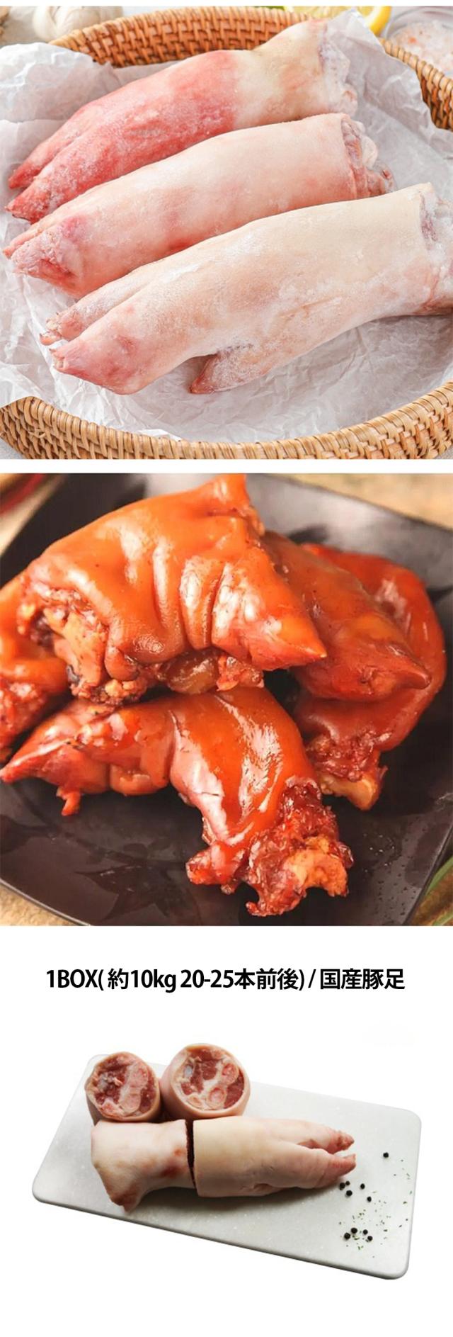 [豚肉] 国産豚足 とんそく / 1BOX( 約10kg 20-25本前後) 豚足 ジューシーな食感豚すね肉 豚肉 骨付き肉（冷凍）