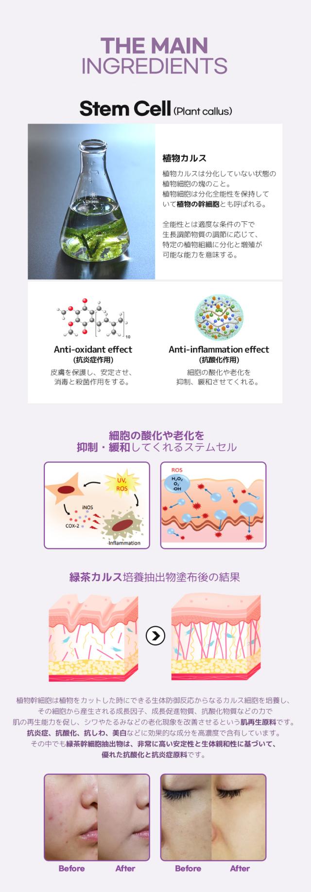 [S3] ステムセル ファンデーション 幹細胞 天然針×幹細胞