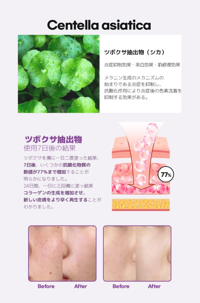 [S3] ステムセル ファンデーション 幹細胞 天然針×幹細胞