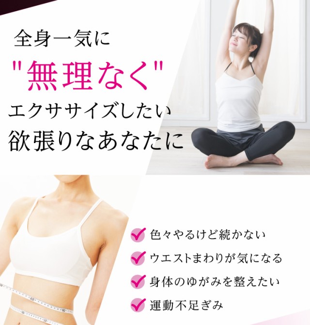 日本製 ダイエット器具 お腹周り 美バランス 骨盤 ねじねじ ツイスター ダイエット 下腹 引き締め 骨盤補正 エクササイズ グッズ おすすめ トレ ランキング受賞 Keita Com Br