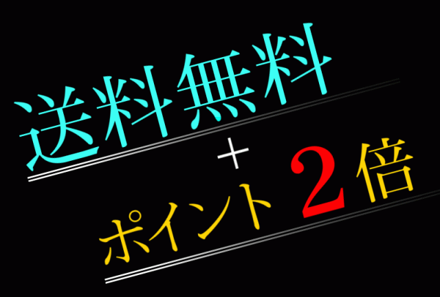 送料無料14037黒 -BLOOD MONEY TOKYO-中綿ジャケット 悪羅悪羅系オラオラ系ヤカラグヤクザヤンキーチンピラ暴走族ダウンジャケット風服 悪党の店 バースジャパン BIRTHJAPAN