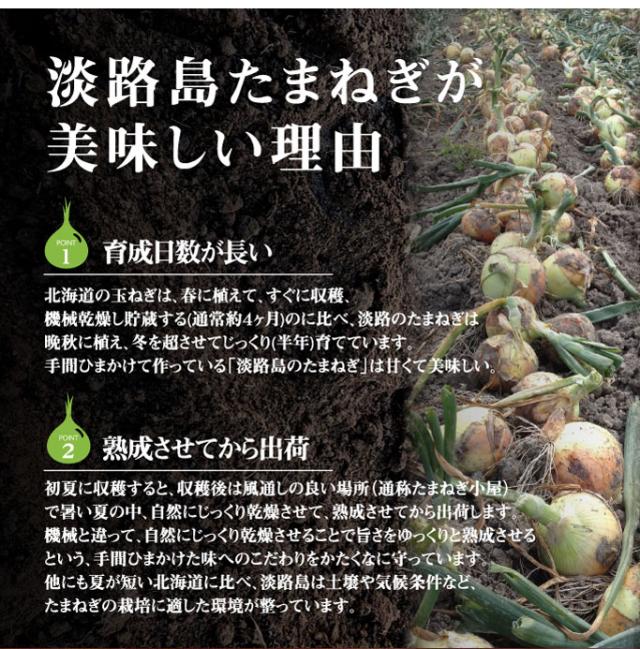 たまねぎスープ10