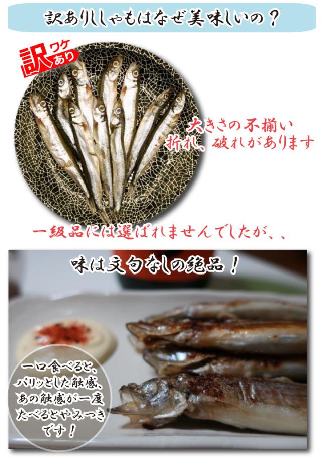 のどぐろ入干物S-訳ありししゃも