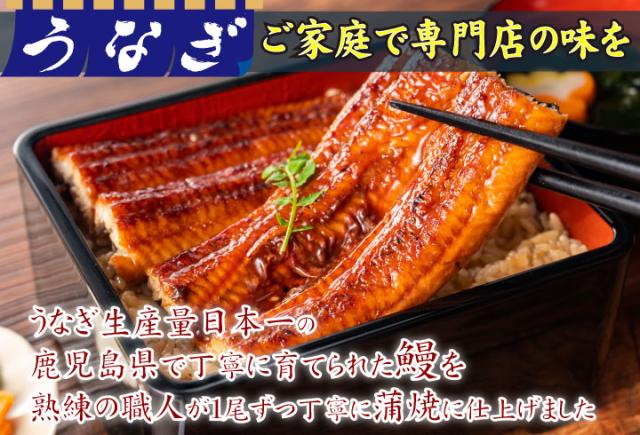うなぎ蒲焼-5