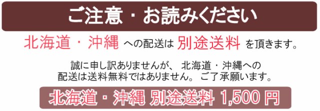 北海道・沖縄は別途送料※1500円