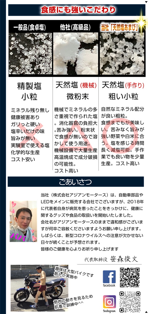 天然塩 国産 天日塩 沖縄 塩 オススメ あまび