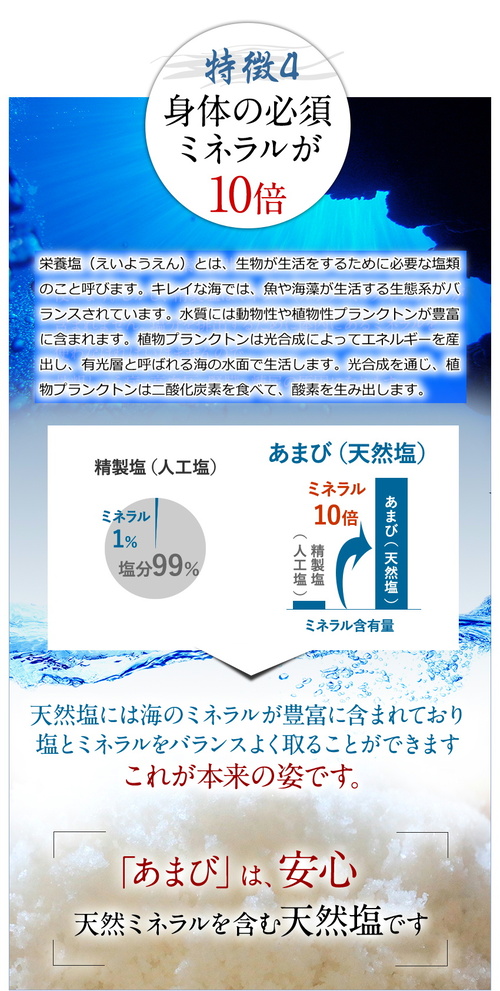 国産 天然塩 海水塩 天日塩 日本 あまび 手作り